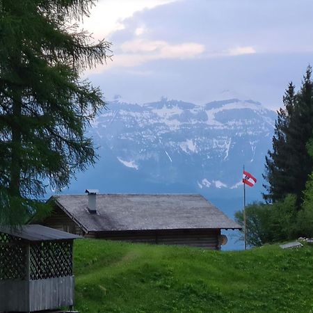 Baita Pra Petina Pale Di San Martino Siror Екстериор снимка