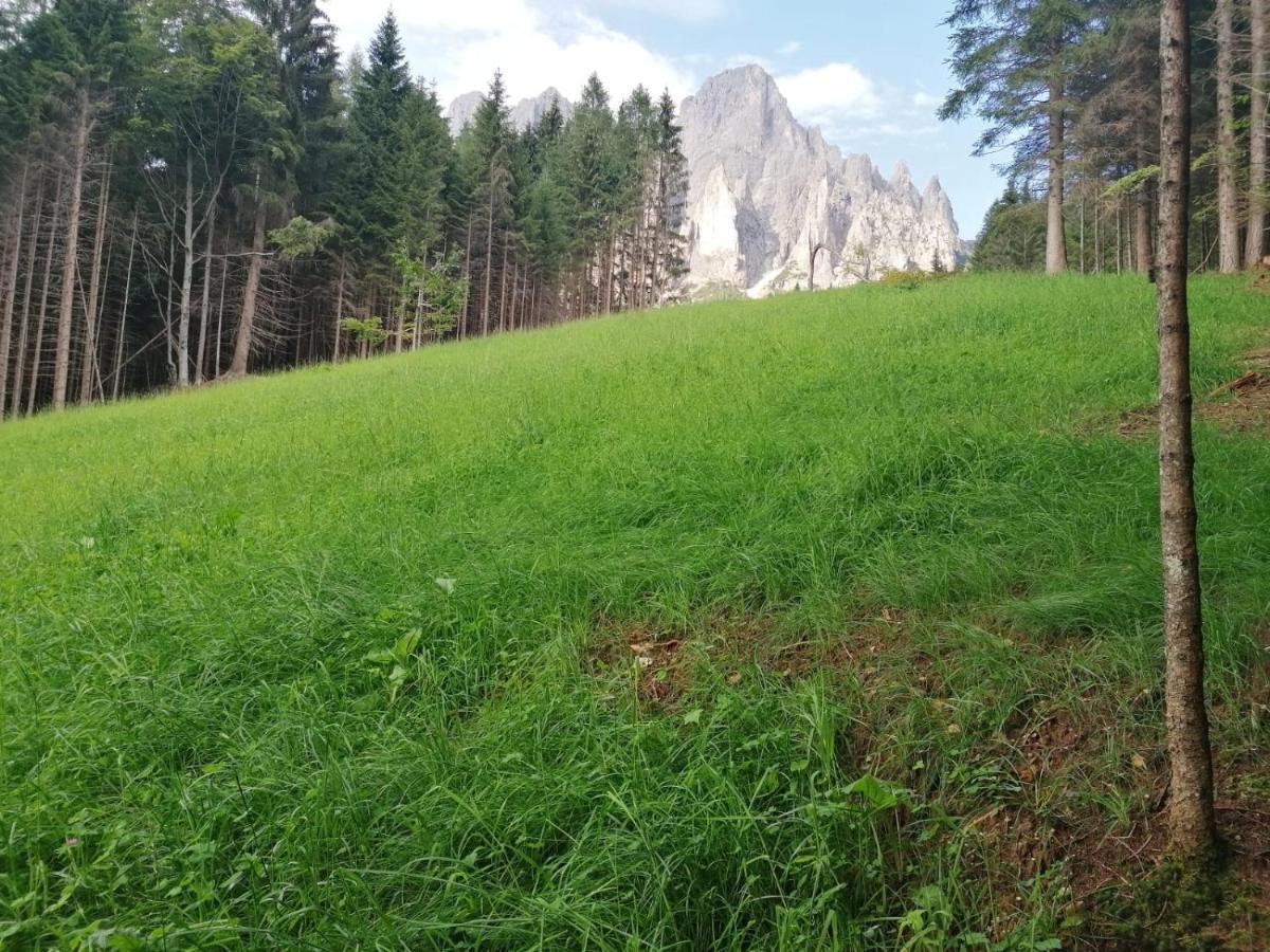 Baita Pra Petina Pale Di San Martino Siror Екстериор снимка