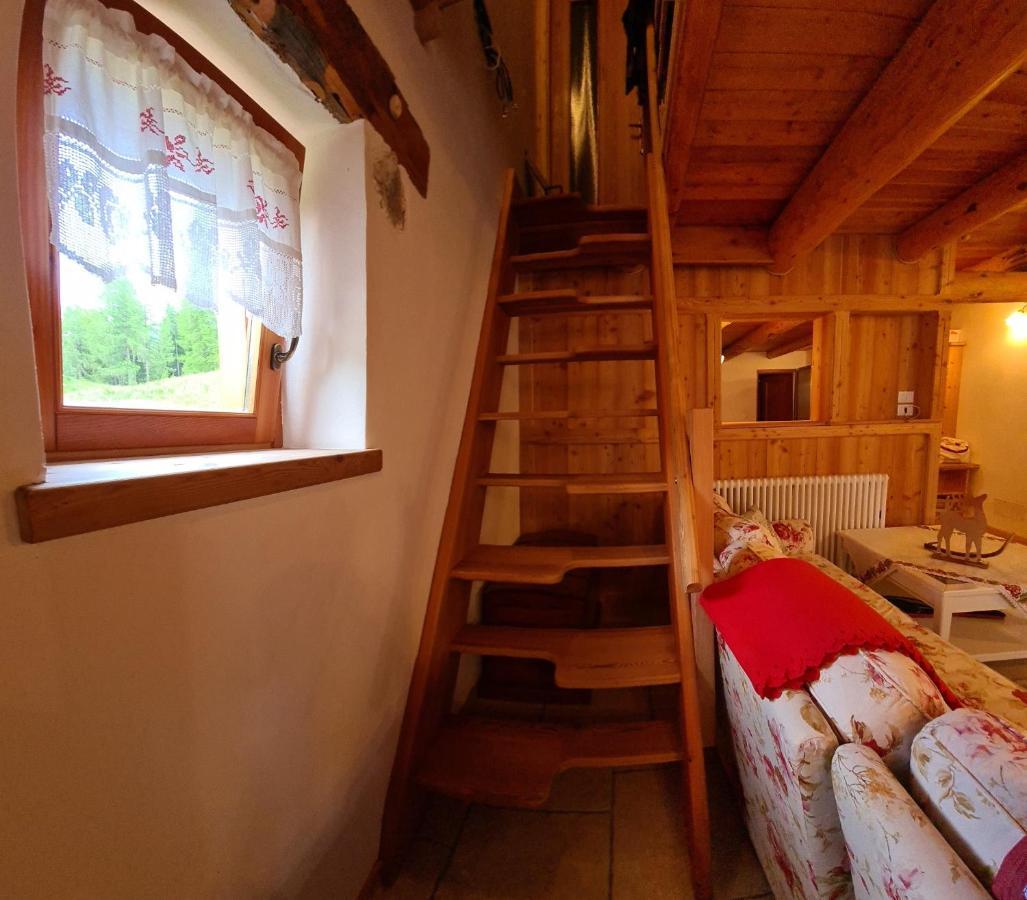Baita Pra Petina Pale Di San Martino Siror Екстериор снимка