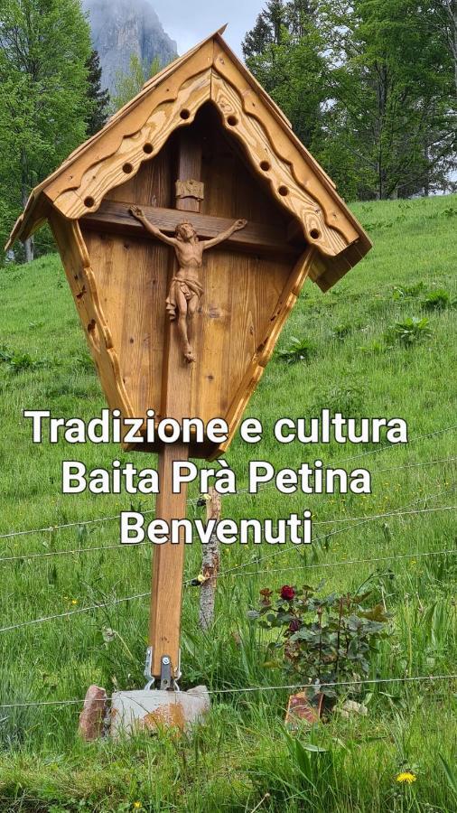 Baita Pra Petina Pale Di San Martino Siror Екстериор снимка