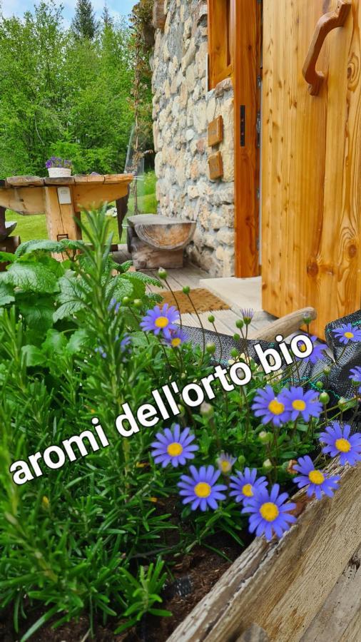 Baita Pra Petina Pale Di San Martino Siror Екстериор снимка
